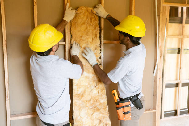 Types of Insulation We Offer in Craigsville, WV